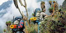 Guas en el Parque Rwenzori (Uganda)